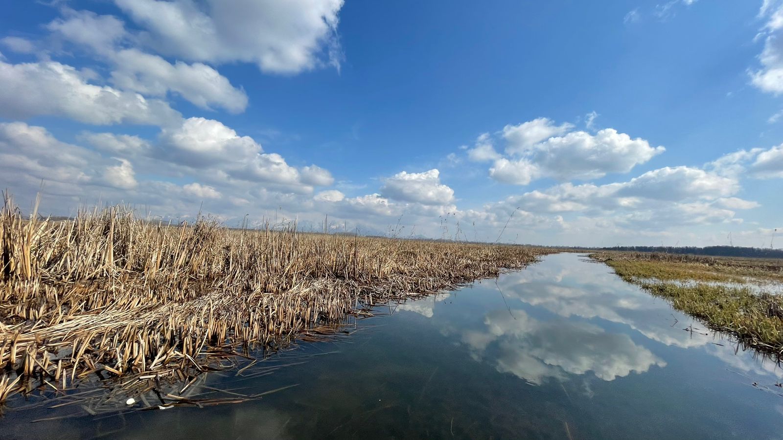 75 Ramsar Sites in 75th Year of Independence India adds 11 more